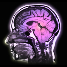 Comprehensive Neuropsychological and Psychological Services in Littleton Colorado